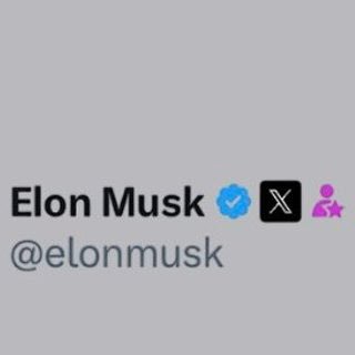 musk097642's profile picture. 