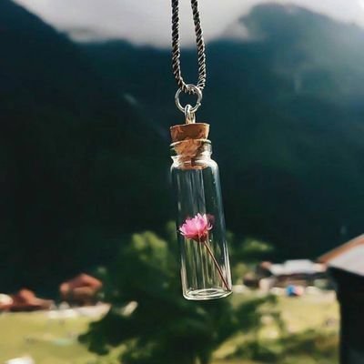 BAOOOONS2311's profile picture. 