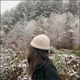 schectman385634's profile picture. 
