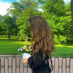 lanzarin9087066's profile picture. 