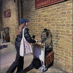 maarxtarri1079's profile picture. 