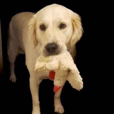 btcBravado's profile picture. LONG $POSC since $0.55 Holding to $10 LONG $ASTS since $21.25 Holding to $500 Founder of Bitcoin Bravado #1 News Outlet for BTC in 2018-2020! Sold for 6 figures