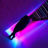 CosmicApocalyps's profile picture. Michael Okorie |30| I Play Games on https://t.co/GQhpbyZenH❤️💍 @divinelyangelic