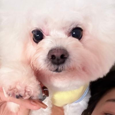 linsen10058's profile picture. 