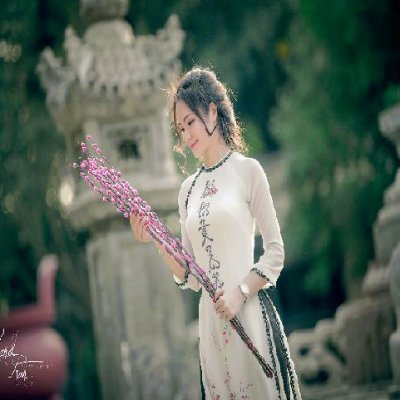 francis_le63535's profile picture. 