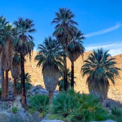 Lames_Sauce's profile picture. 