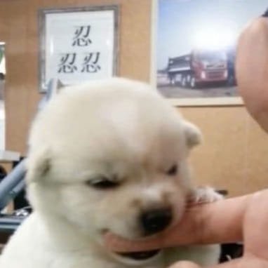 tsuyoyaa's profile picture. 