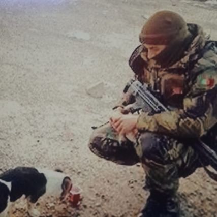 AnCS88's profile picture. 