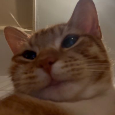 HaidarUmmIDK's profile picture. Full Stack Ret/ard + Dev