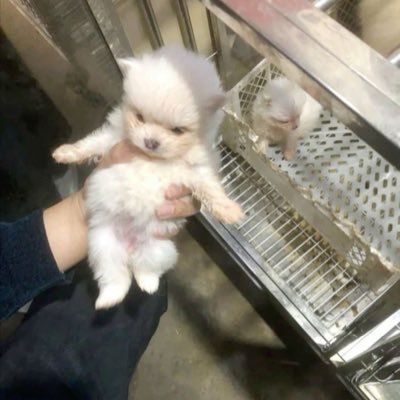 nocontextduu's profile picture. 