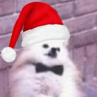 fengaili127992's profile picture. 