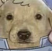 EduardoAMedinaZ's profile picture. Existiendo...