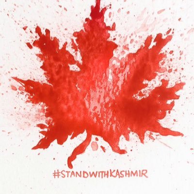 kashaffatymah's profile picture. A glitch in the matrix