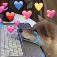 nicole❣️ (@noodlenicolee) 's Twitter Profile Photo