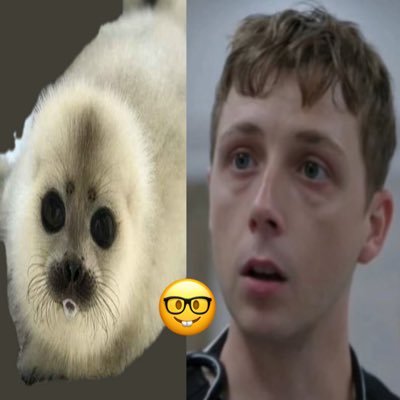 frododillo's profile picture. 100 gorillas vs. my roommate Huckleberry