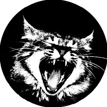 twilightdevils's profile picture. “I’ve been known to loose my way a bit. “ | oasis/catb | jurídico @oasisterss | professional vampire at @twilight