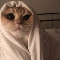 Daniyalaziz444's profile picture. new in web3