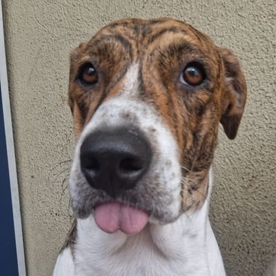 vikamocca's profile picture. 