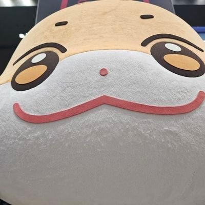 txxkiharui's profile picture. 26. i lurk on x alot, babytiny