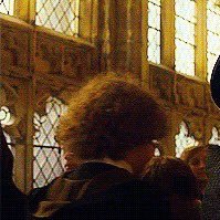 BlankenshipXIII's profile picture. life’s a garden