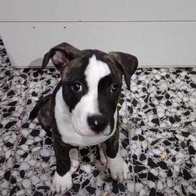 iakiormaetxea2's profile picture. 