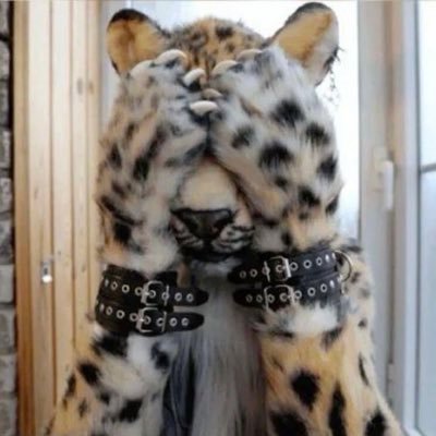 thirtyfive08's profile picture. 