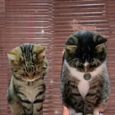 matt64838916's profile picture. 