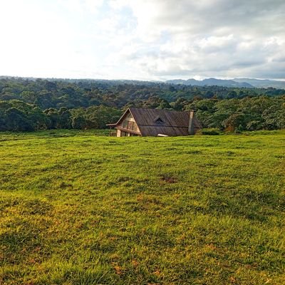 d_mwende_'s profile picture. Obsessed with everything measurable 😊