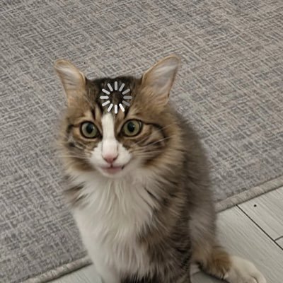 40bezdirmesi's profile picture. okur/sana kaliteli tivitler vadetmedim.