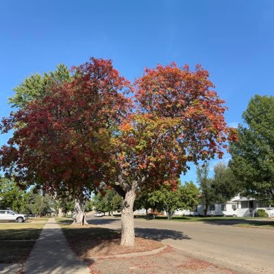 YomiYomi72152's profile picture. Shuvee Etrata ❤️ Maymay Entrata ❤️