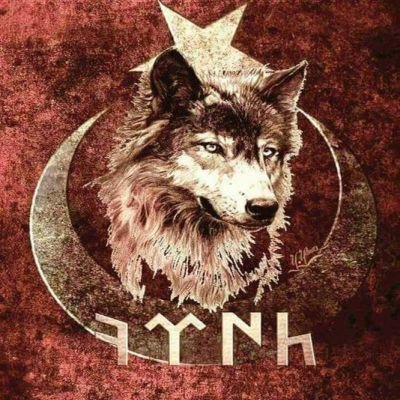 TurkIstiklali23's profile picture. 