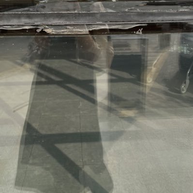 oenroivai8yr3's profile picture. 