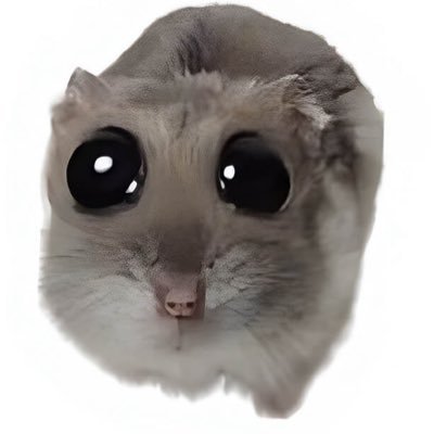 laisials's profile picture. Everything is subjective.
