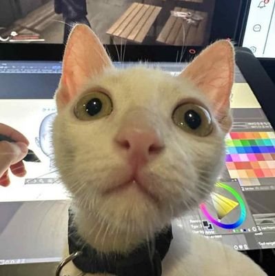 GrayPreaky's profile picture. •͈ᴗ•͈ 🇧🇷minor||12||, Autistic, I won't post anything.
(sorry my English). Bye:)