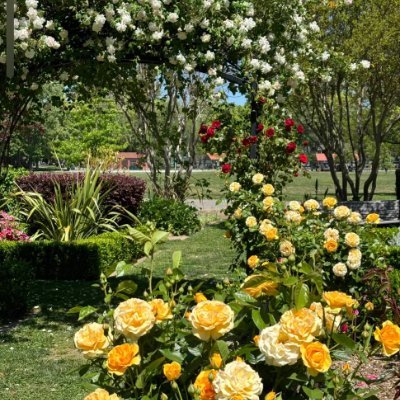 Daisy651456's profile picture. The tweets are my own.

No pornographic content allowed