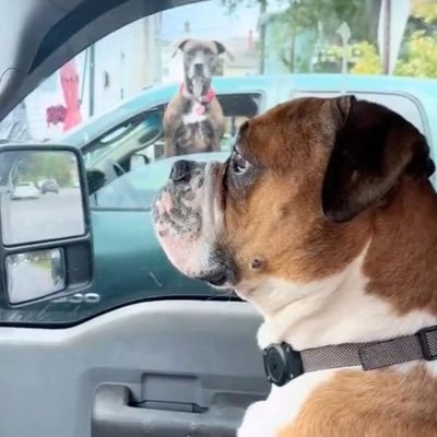 Openwallet40573's profile picture. 