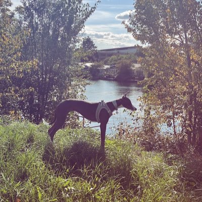 cookie_985_'s profile picture. 