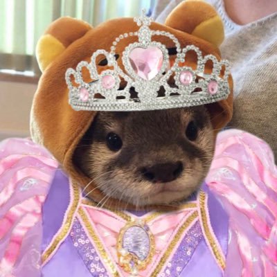 ottrers's profile picture. no tw . Nemo ! she/bug/any 🐛