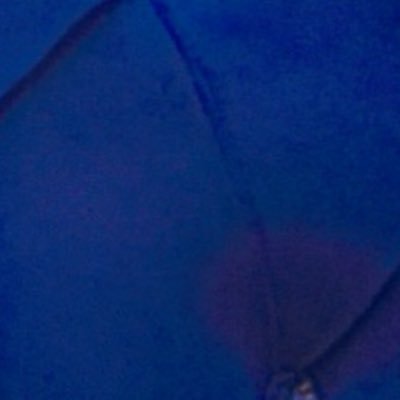 enzomiles878's profile picture. I am a nice person who love to be happy