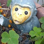 えーじぇんとえふさんのプロフィール画像