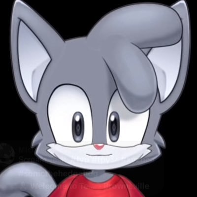 michaelthecat11's profile picture. 