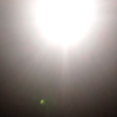 ander10268's profile picture. #Beastiality #Zoophilia #Doggirl #Horsegirl #Animalporn #Animalsex  #ZoopornPREMIUM #bestiality #doglover❤️