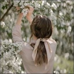 NolandPatr70403's profile picture. 