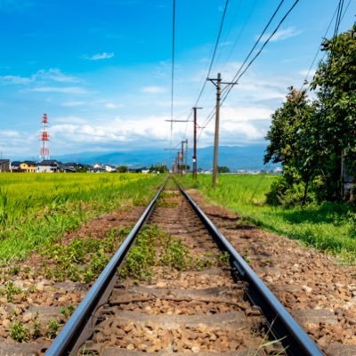 yorkebosnich's profile picture. 日本の未来を憂う。