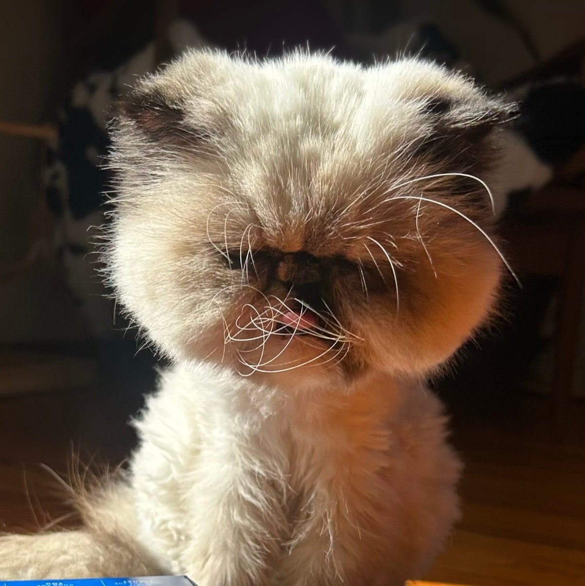 CompleteFQR's profile picture. 