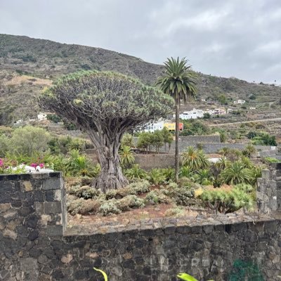 RTombesi98917's profile picture.