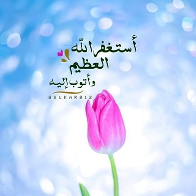 lashd285's profile picture. اللهم إني أحسنتُ بِكَ الظَّن .. فاجبُرني جبرا عظيما.