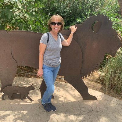 MichelleFiles's profile picture. Author of mystery, thrillers, as well as small town drama, and books for authors.
