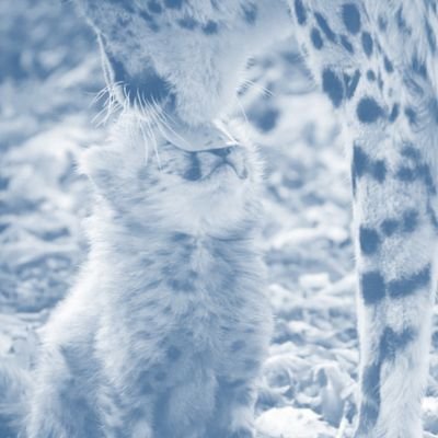 Nanionaa's profile picture. 