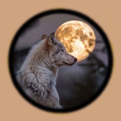 T_Wolf_666's profile picture. Living, learning, and leveling up every day.💆🏿‍♂️